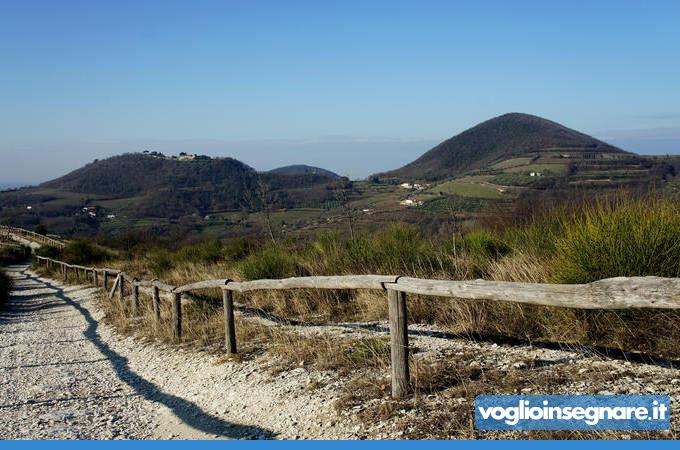 Padova, il Preside convoca il collegio docenti nel bosco. E non è l’unica particolarità di un Istituto unico...