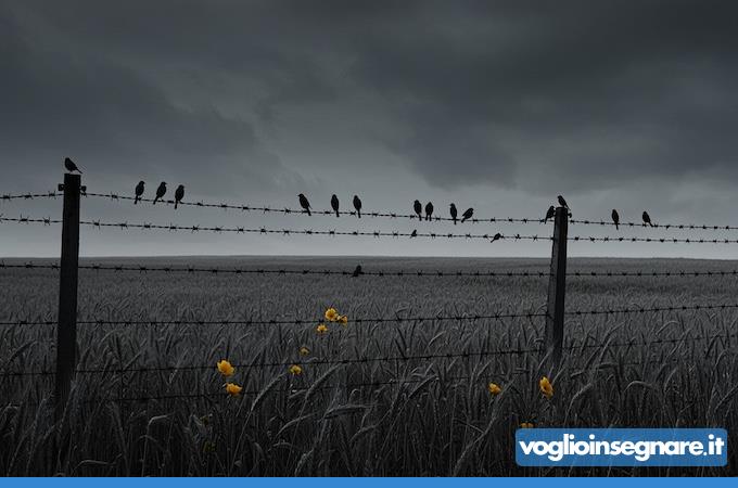 27 Gennaio: le voci che il silenzio non ha cancellato